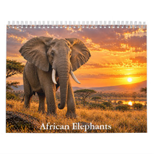 Prachtige Afrikaanse Olifanten Natuurkalender Kalender