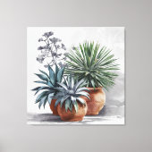 Prachtige Agave Planten in Rustieke Terracotta Pot Canvas Afdruk (Voorkant)