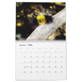 Prachtige agenda 2016 kalender (Jan 2026)