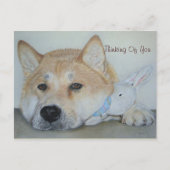 prachtige akita hond met doordachte expressie briefkaart (Voorkant)