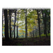 Prachtige Amerikaanse landschappen Kalender (Hoes)