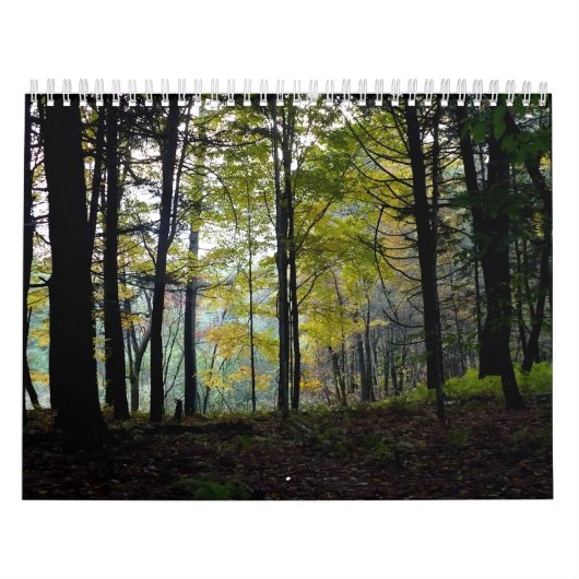 Prachtige Amerikaanse landschappen Kalender (Hoes)