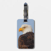 Prachtige Amerikaanse zeearend in een boom Bagagelabel (Achterkant verticaal)