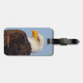 Prachtige Amerikaanse zeearend in een boom Bagagelabel (Achterkant horizontaal)