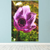 Prachtige Anemone Coronaria Wildflower Painting Canvas Afdruk (Insitu (Houten vloer))