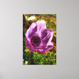 Prachtige Anemone Coronaria Wildflower Painting Canvas Afdruk