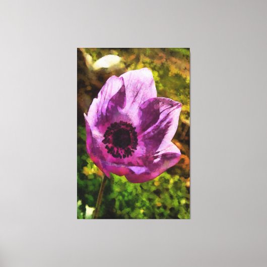 Prachtige Anemone Coronaria Wildflower Painting Canvas Afdruk (Voorkant)