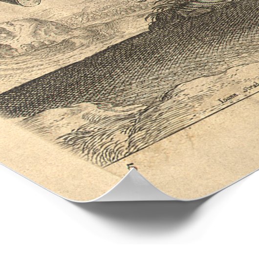 Prachtige Antiek Stallion Elegant Poster (Hoek)