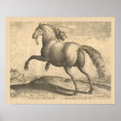 Prachtige Antiek Stallion Elegant Poster (Voorkant)