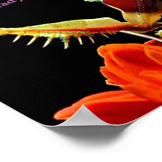 Prachtige antis en bloemen helder en mooi Poster (Hoek)