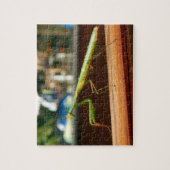 Prachtige antis Foto Puzzle met Gift Box Legpuzzel (Verticaal)