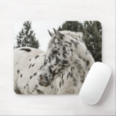 Prachtige Appaloosa-paarden, Western, Appy Muismat (Met muis)