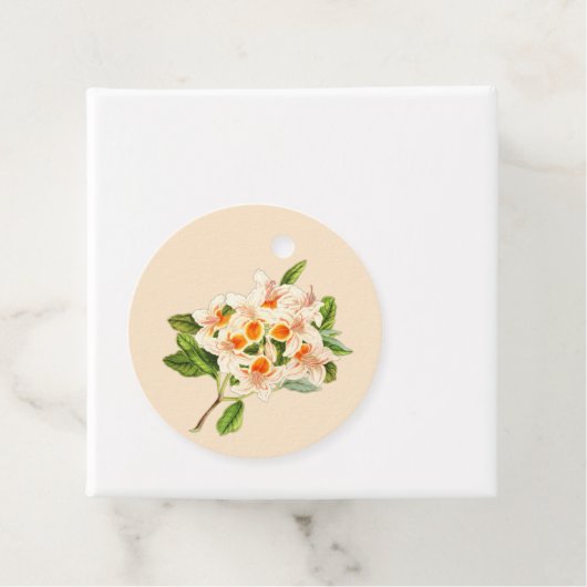 Prachtige azalea, Bloemendecoratie oranje  Bedankjes Labels (In situ)