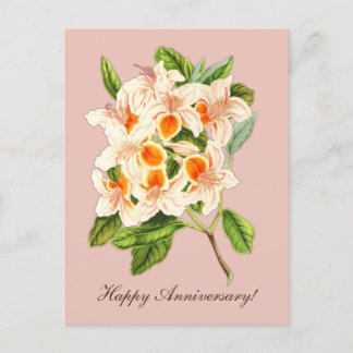 Prachtige azalea, jubileum briefkaart