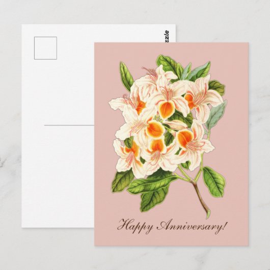 Prachtige azalea, jubileum briefkaart (Voorkant / Achterkant)