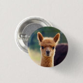 Prachtige Baby Alpaca-Buttonnen Ronde Button 3,2 Cm (Voorkant /achterkant)