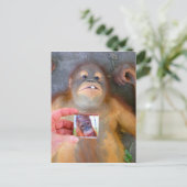 Prachtige Baby Zazzle Fan Briefkaart (Staand voorkant)