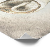 Prachtige  Barn Owl poster. Poster (Hoek)