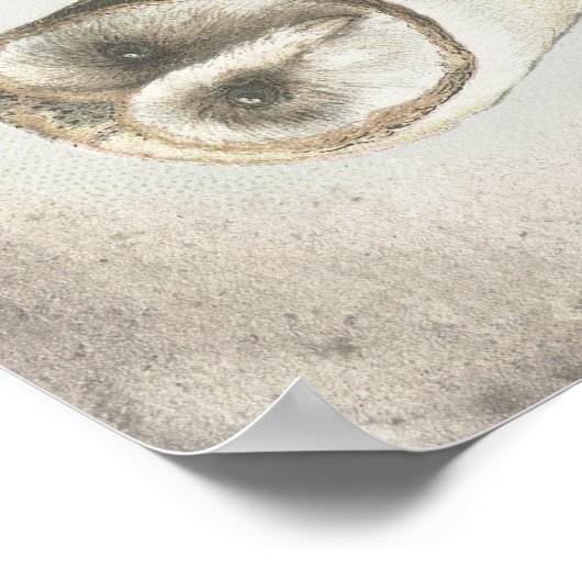 Prachtige  Barn Owl poster. Poster (Hoek)