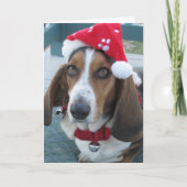 Prachtige Basset Santa Christmas Holiday Kaart (Voorkant)