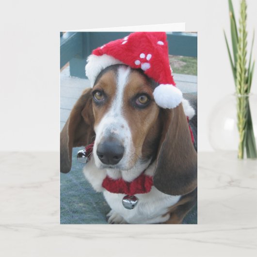 Prachtige Basset Santa Christmas Holiday Kaart (Voorkant)
