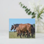 Prachtige Bay Horses Briefkaart (Staand voorkant)