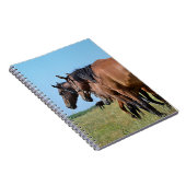 Prachtige Bay Horses Notitieboek (Rechterzijde)