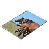 Prachtige Bay Horses Notitieboek (Linkerzijde)