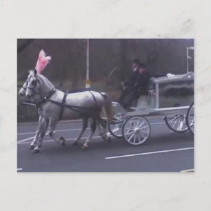 Prachtige  begrafenis briefkaart