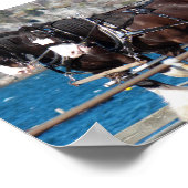 Prachtige belgische harnas voor paarden poster (Hoek)