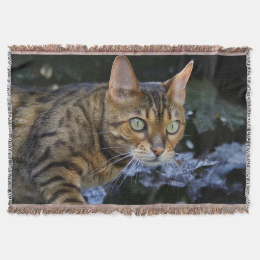Prachtige Bengal Cat Deken (Voorkant)