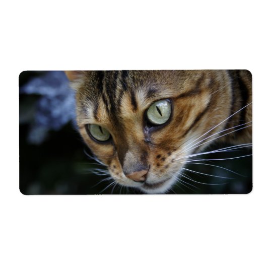 Prachtige Bengal Cat Etiket (Voorkant)