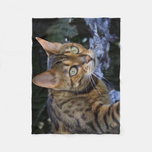 Prachtige Bengal Cat Fleece Deken (Voorkant)
