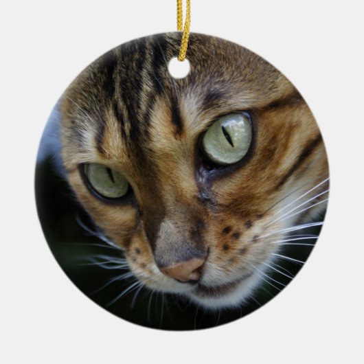 Prachtige Bengal Cat Keramisch Ornament (Voorkant)