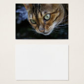 Prachtige Bengal Cat Visitekaartjes (Voorkant /achterkant)