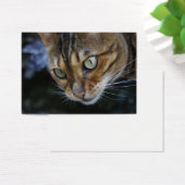 Prachtige Bengal Cat Visitekaartjes (Bureau)