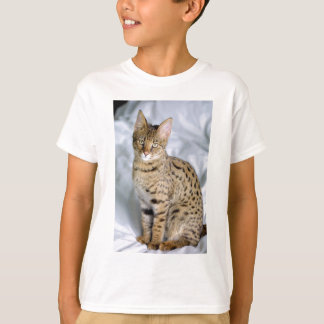 Prachtige bengal-kattekop t-shirt