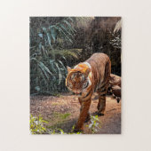 Prachtige Bengal Tiger Legpuzzel (Verticaal)