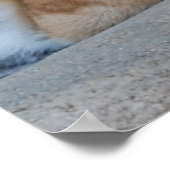 Prachtige Bengal Tiger Poster (Hoek)