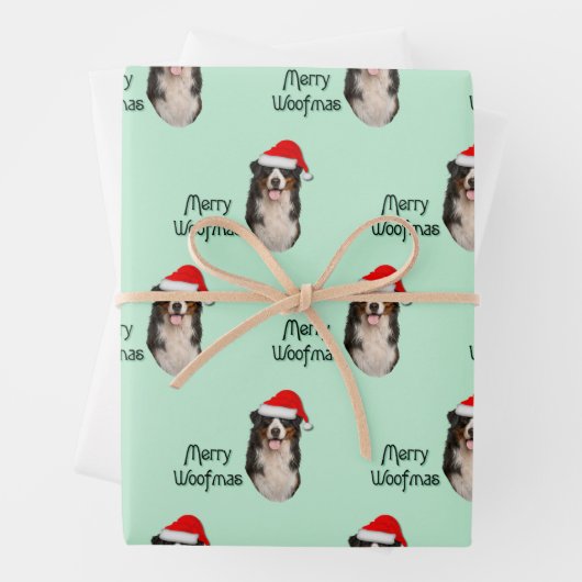 Prachtige Berner Hond in een Santa Hat Inpakpapier Vel (In situ)