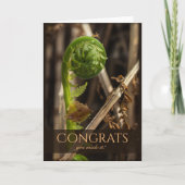 Prachtige bevruchting voor de winter CC0917 Congra Kaart (Voorkant)