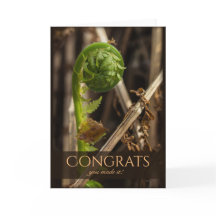 Prachtige bevruchting voor de winter CC0917 Congra