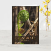 Prachtige bevruchting voor de winter CC0917 Congra Kaart (Gele Bloem)