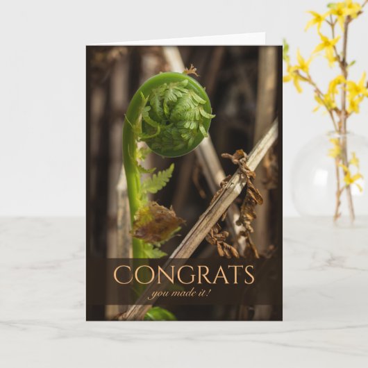 Prachtige bevruchting voor de winter CC0917 Congra Kaart (Gele Bloem)