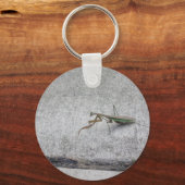 Prachtige bidsprinkhaanketting sleutelhanger (Voorkant)