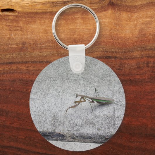 Prachtige bidsprinkhaanketting sleutelhanger (Voorkant)