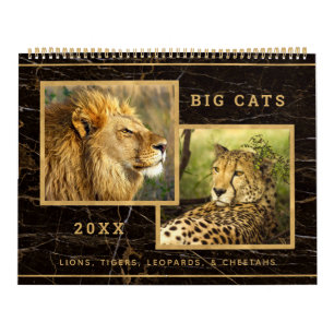 Prachtige Big Cats Photo Afbeelding Calendar Kalender