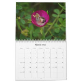 Prachtige Bijen Natuurkalender Kalender (Mar 2027)