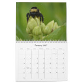 Prachtige Bijen Natuurkalender Kalender (Jan 2027)