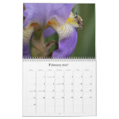 Prachtige Bijen Natuurkalender Kalender (Feb 2027)